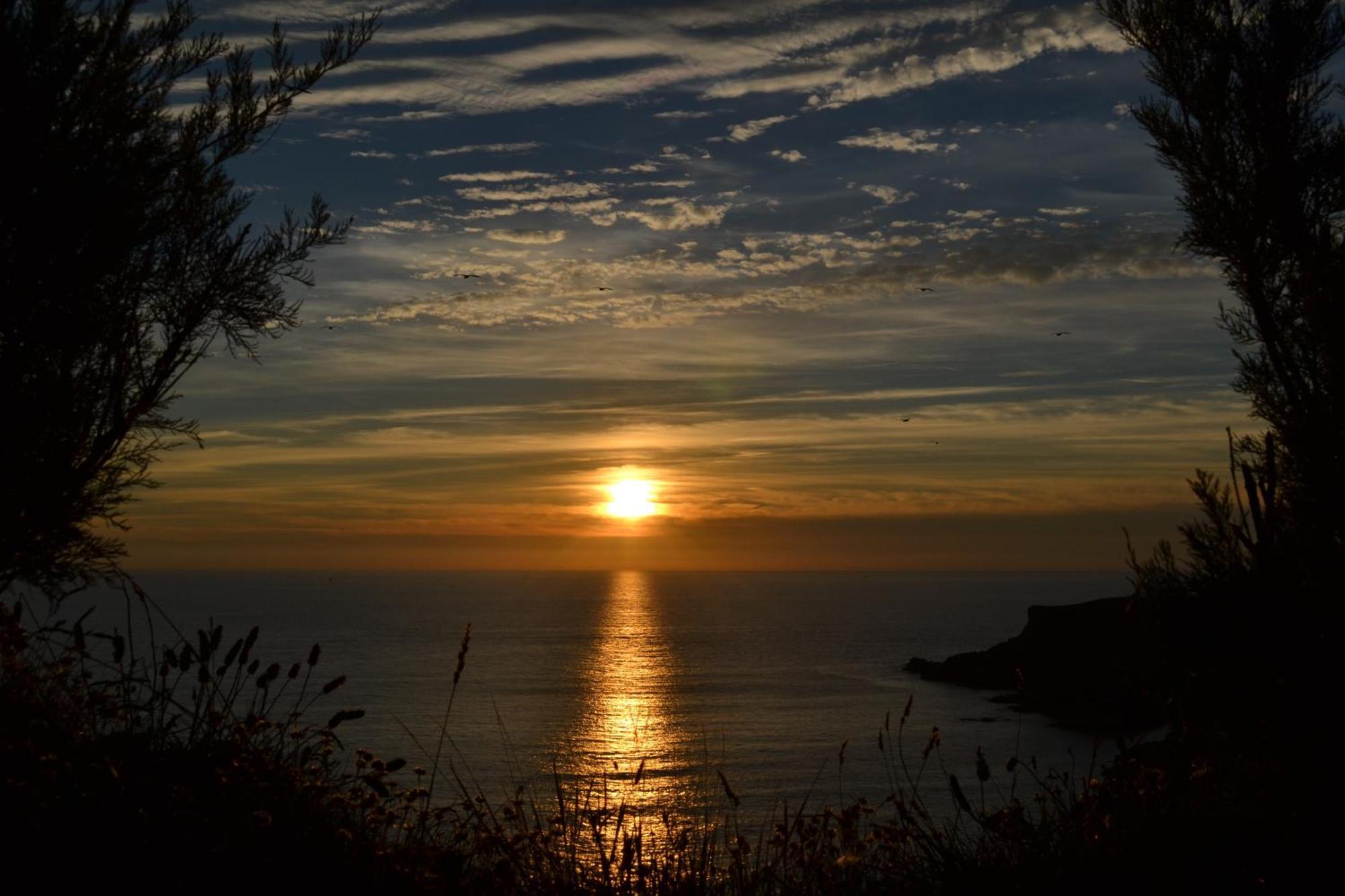 St Merryn Bed And Breakfast Padstow Bagian luar foto